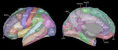 Aging-Related Changes in Cortical Sources of Sleep Oscillatory Neural Activity Following Motor Learning Reflect Contributions of Cortical Thickness and Pre-sleep Functional Activity